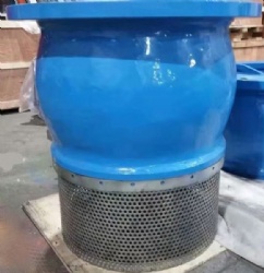 Foot valve with strainer