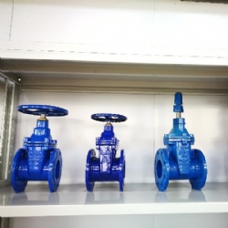 Gate valve